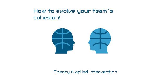 How to evolve your teams cohesion