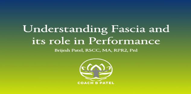 Understanding Fascia and its role in performance