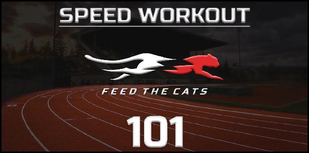 Feed the Cats: The Off-Season Speed Workout