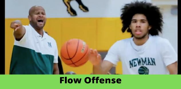 Randy Livingston: Newman Flow Offense