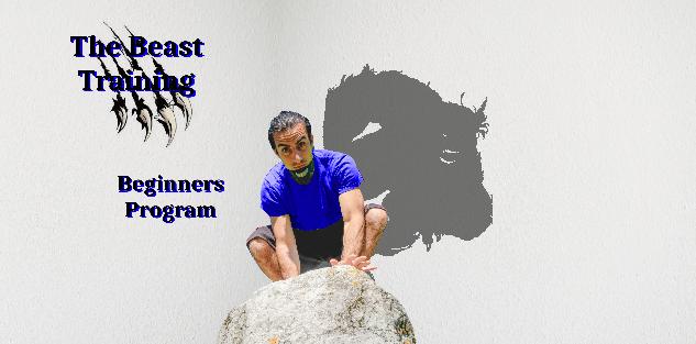 Super Hero Training: The Beast (Strength, Agility, Animal flow)