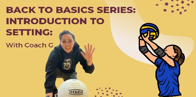 Back to Basics Mini Course Series: Setting