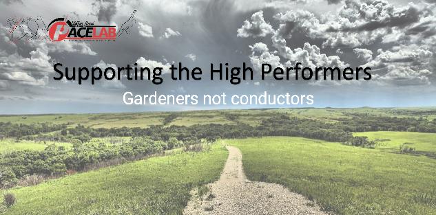 Supporting High Performance in Schools