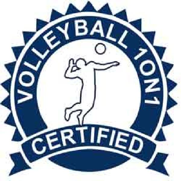 Volleyball1on1