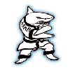 ActionKarate