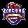 Head_Coach_Lab