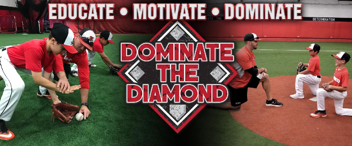 Quick Start by Dominate the Diamond Quick Start by Dominate the Diamond