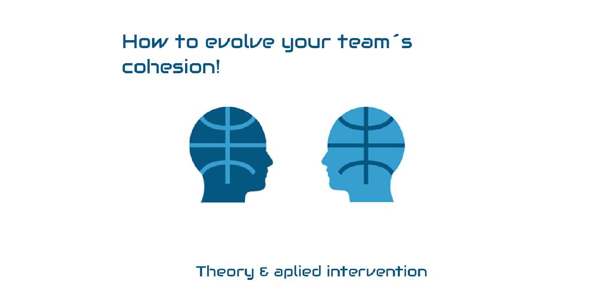 How to evolve your teams cohesion How to evolve your teams cohesion