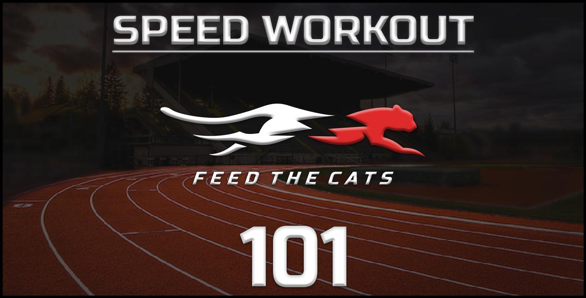 Feed the Cats: The Off-Season Speed Workout Feed the Cats: The Off-Season Speed Workout