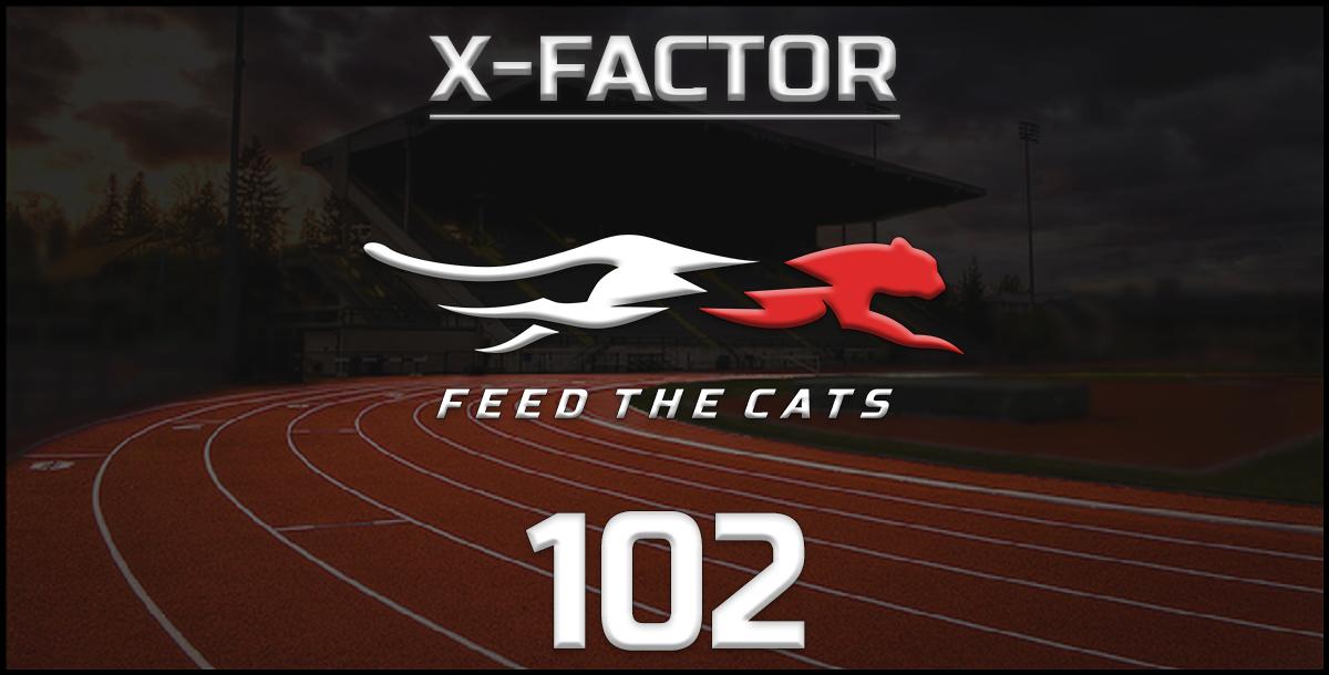 Feed the Cats: Top Explosive Exercises that Increase Speed Feed the Cats: Top Explosive Exercises that Increase Speed