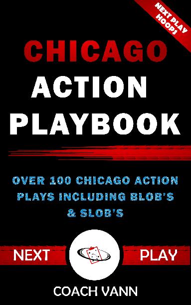 Chicago Action Playbook (Zoom) Chicago Action Playbook (Zoom)