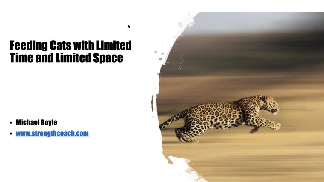 Feeding the Cats with Limited Space - Michael Boyle Feeding the Cats with Limited Space - Michael Boyle