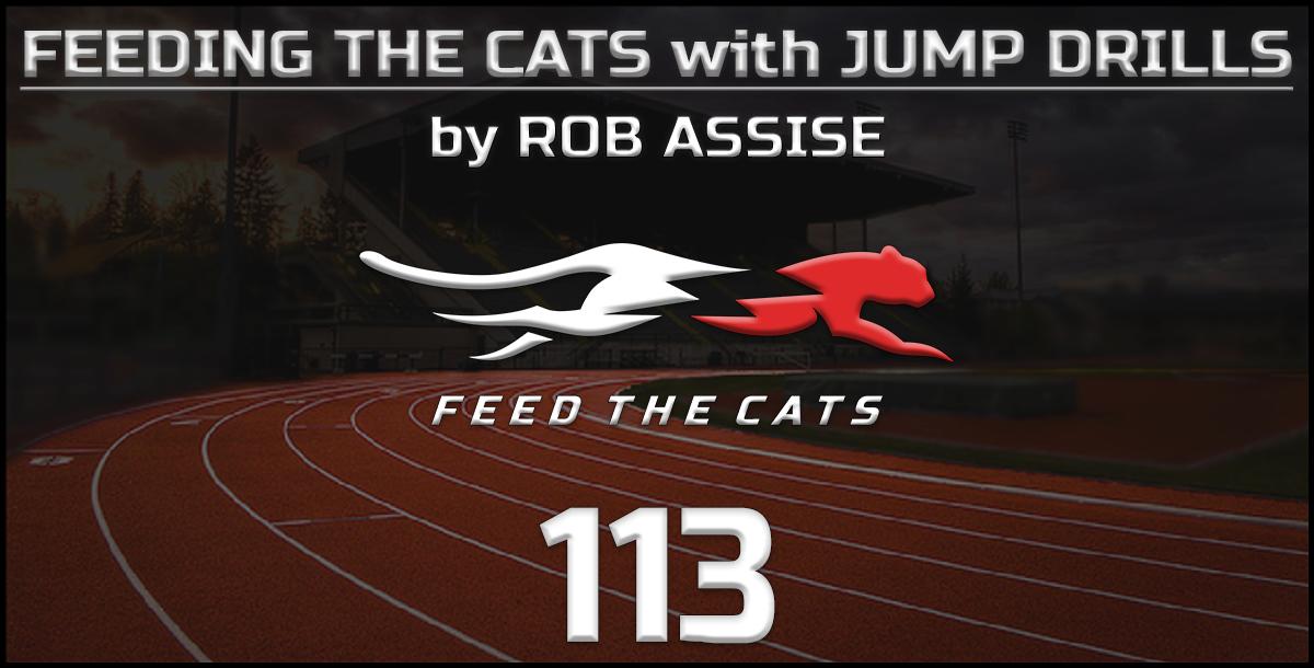 Feeding the Cats with Jump Drills by Rob Assise Feeding the Cats with Jump Drills by Rob Assise