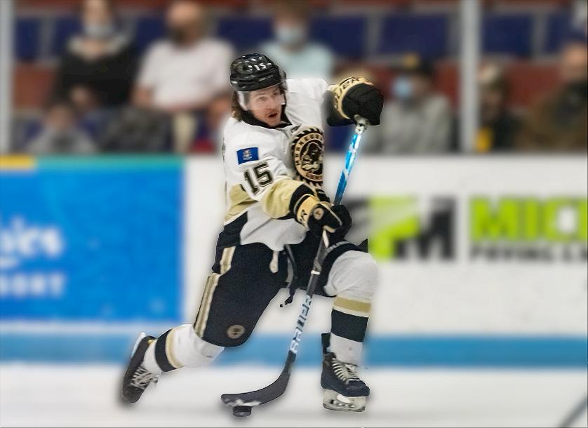 Learn It. Earn It. Train It. Physical Readiness for Hockey (Blank Software) Learn It. Earn It. Train It. Physical Readiness for Hockey (Blank Software)