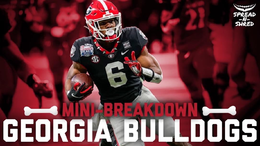 Georgia 2021 Mini-Breakdown Georgia 2021 Mini-Breakdown