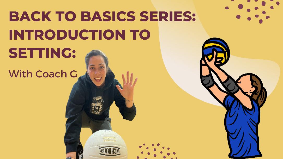 Back to Basics Mini Course Series: Setting Back to Basics Mini Course Series: Setting