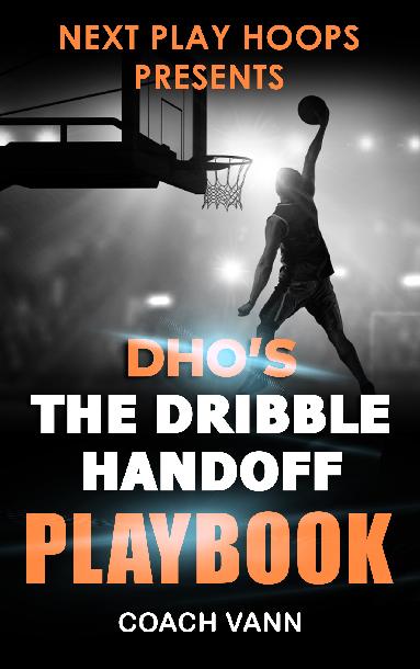 The DHO Playbook The DHO Playbook
