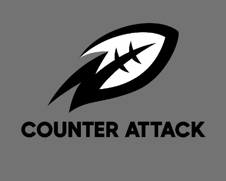 Counter Attack Gap Scheme and RPO System Counter Attack Gap Scheme and RPO System