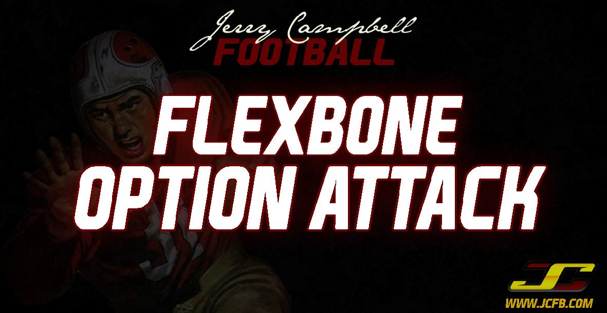 Flexbone Option Attack Power Point Flexbone Option Attack Power Point