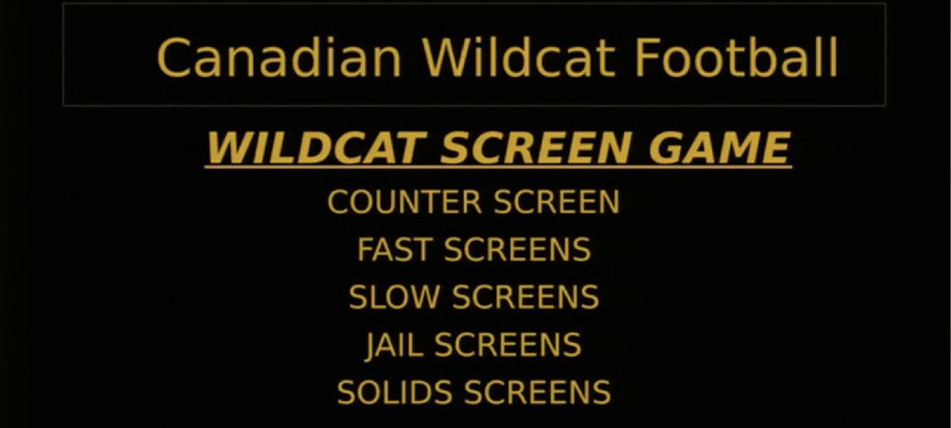 Chris Koetting: Wildcat Screen Game Chris Koetting: Wildcat Screen Game